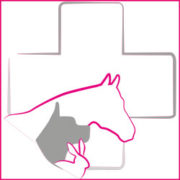 Tiergesundheit2019_Logo_Web