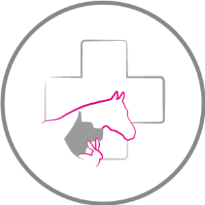 Leitbild_tiergesundheit_de Leitbild_tiergesundheit_de