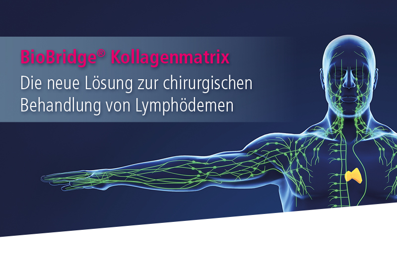 BeitragsBild_BioBridge-Einladung