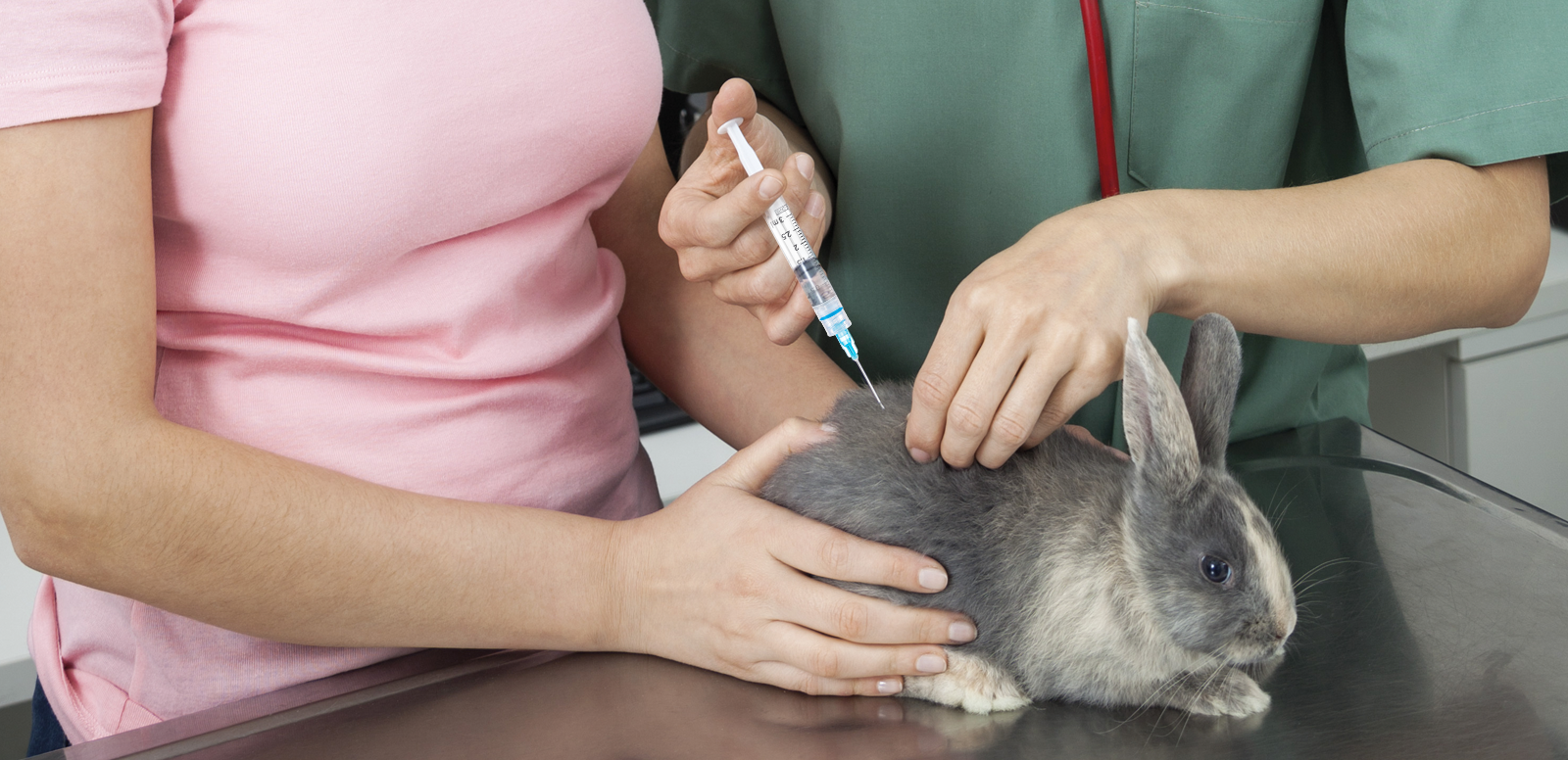 Sicherheitsspritze-SOL-CARE-mit-Luer-Lock-Duese-TapMed-Tierarzt_Kaninchen_Tiergesundheit