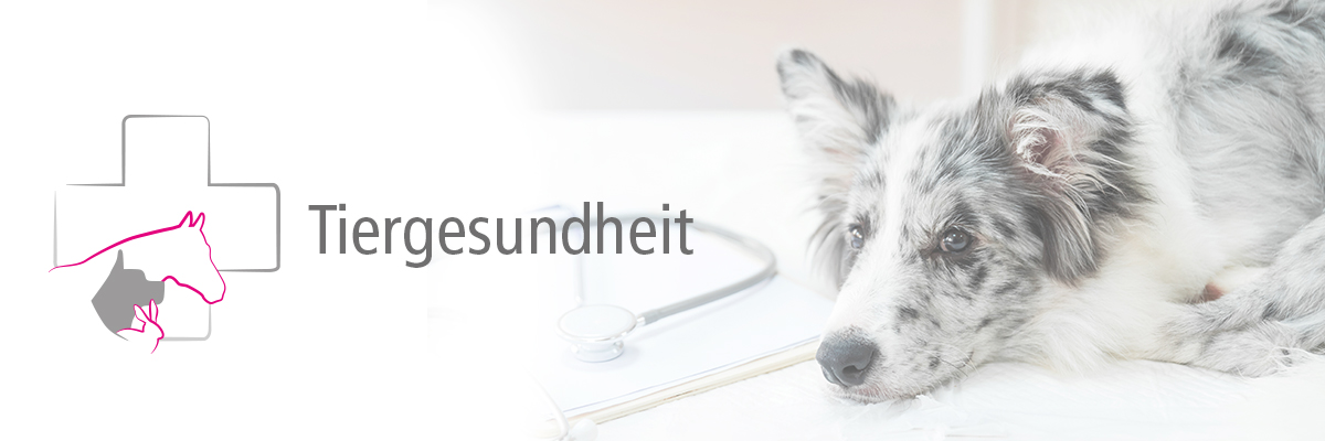 TG-Header-anmeldung