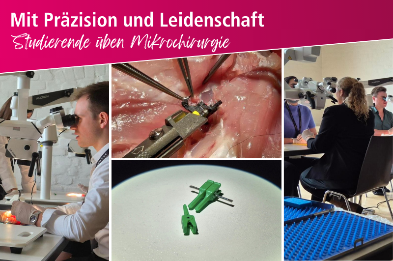 Mikrochirurgie-Workshop (800 x 531 px)