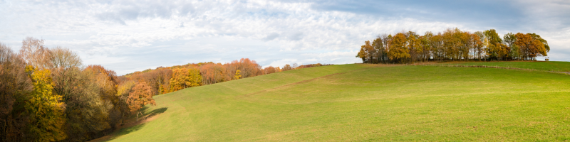 11. GFO Intensivpflegetag in Hennef