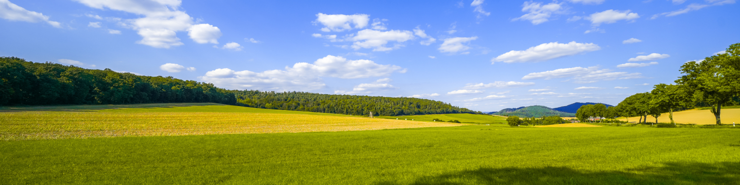 4. Fachtagung für Praxisanleiter in Nordhessen Bad Wildungen